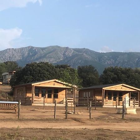Les Chalets De Tesa Occhiatana Exterior photo